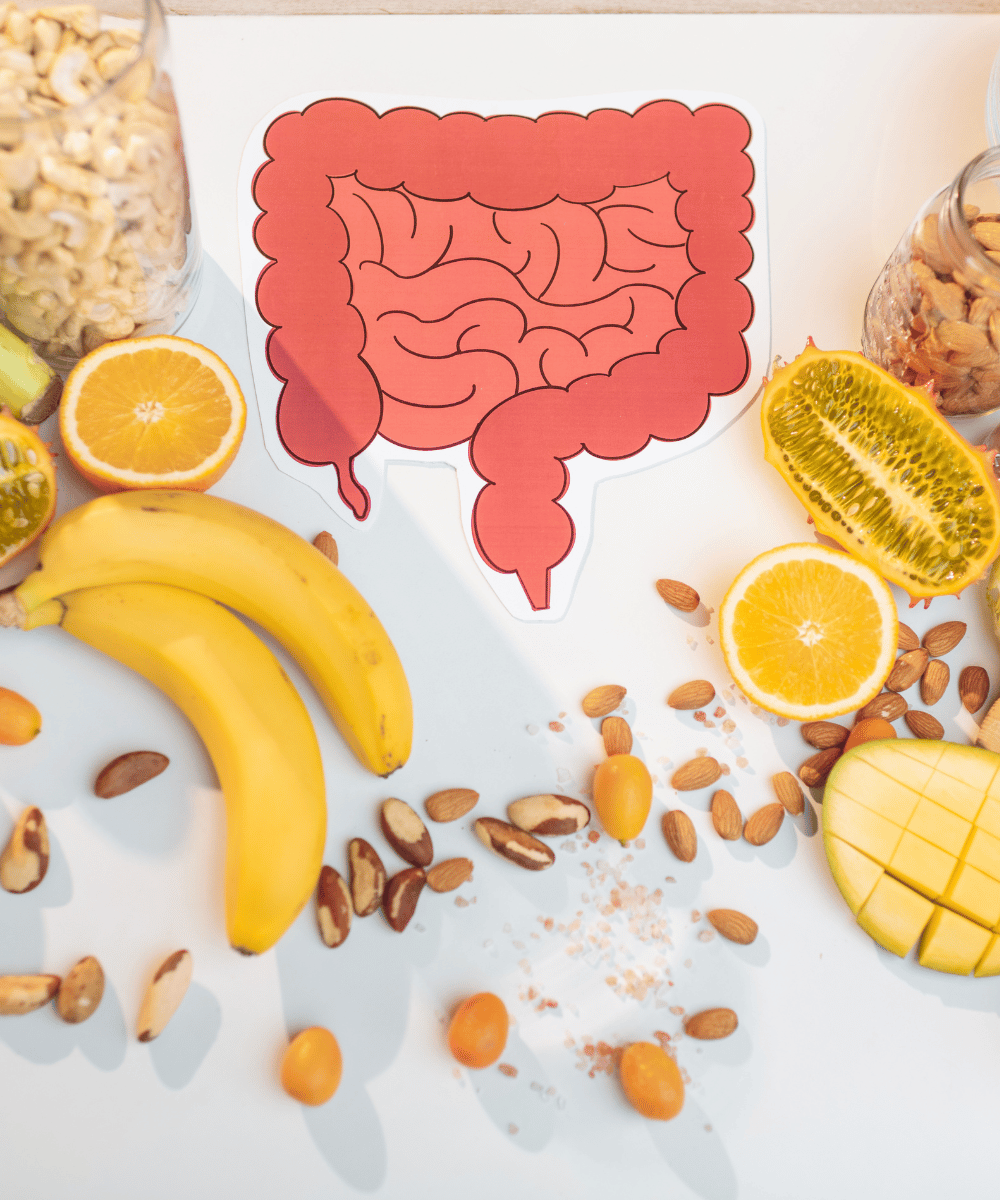 Probiotic Food Supplement Powder for Gut Health & Wellness