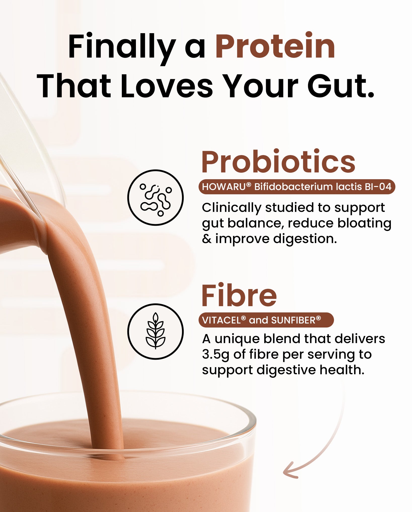 Supply6 Plant Protein - Chocolate