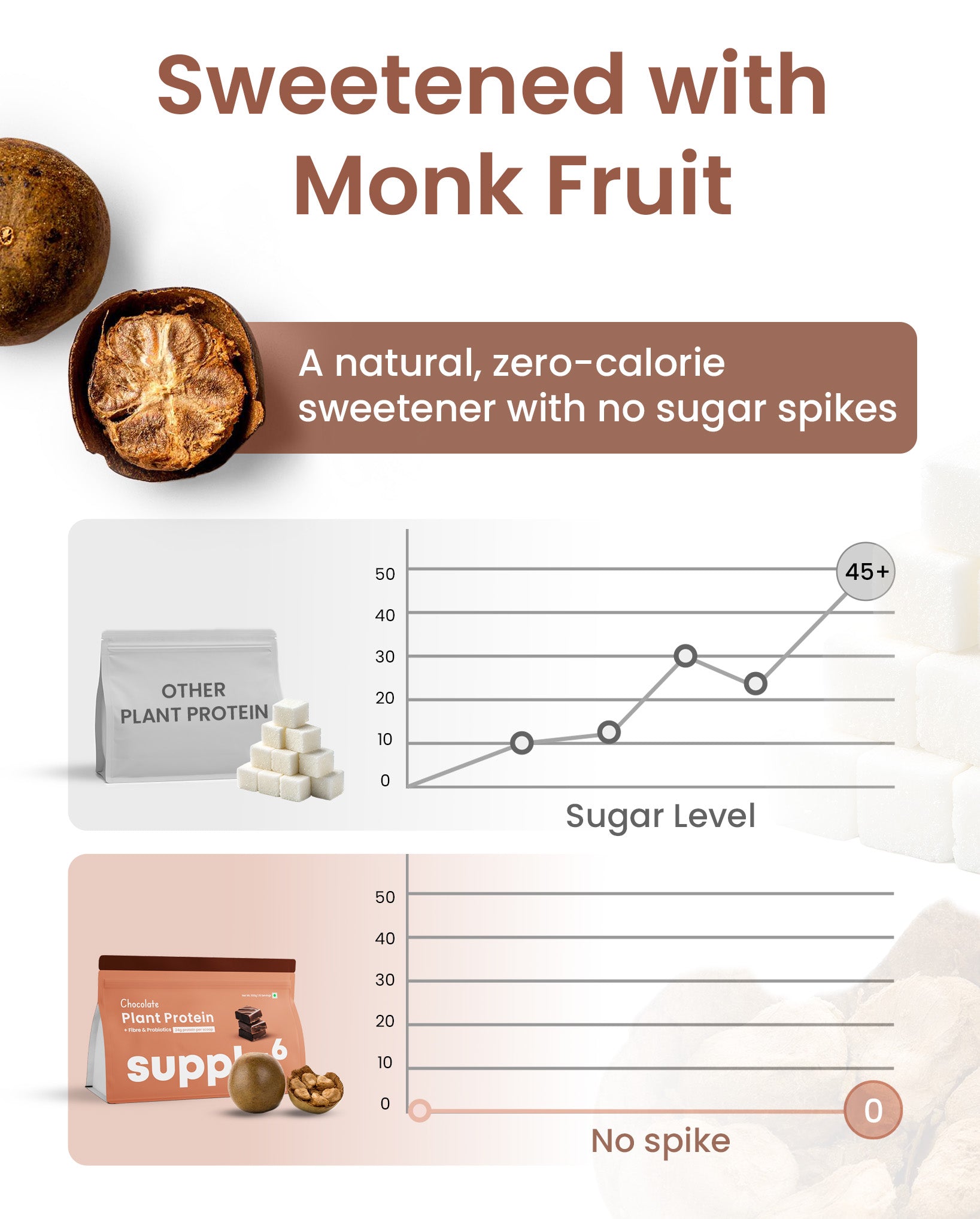 Supply6 Plant Protein - Chocolate