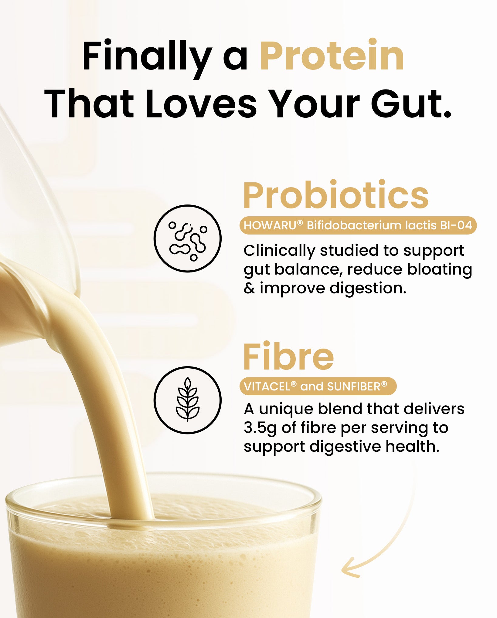 Supply6 Plant Protein - Vanilla