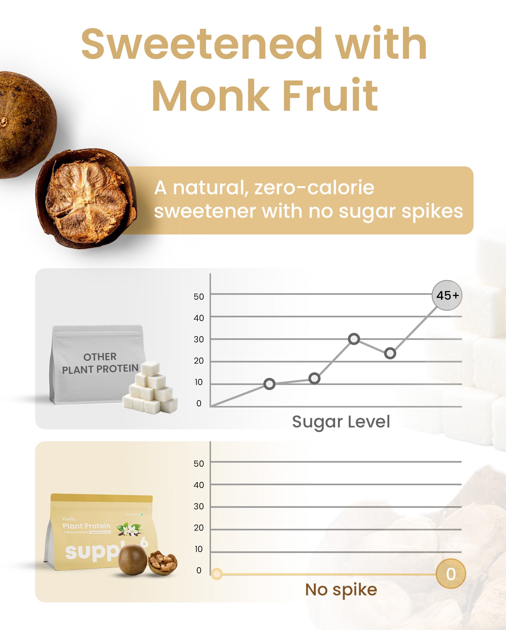 Supply6 Plant Protein - Vanilla