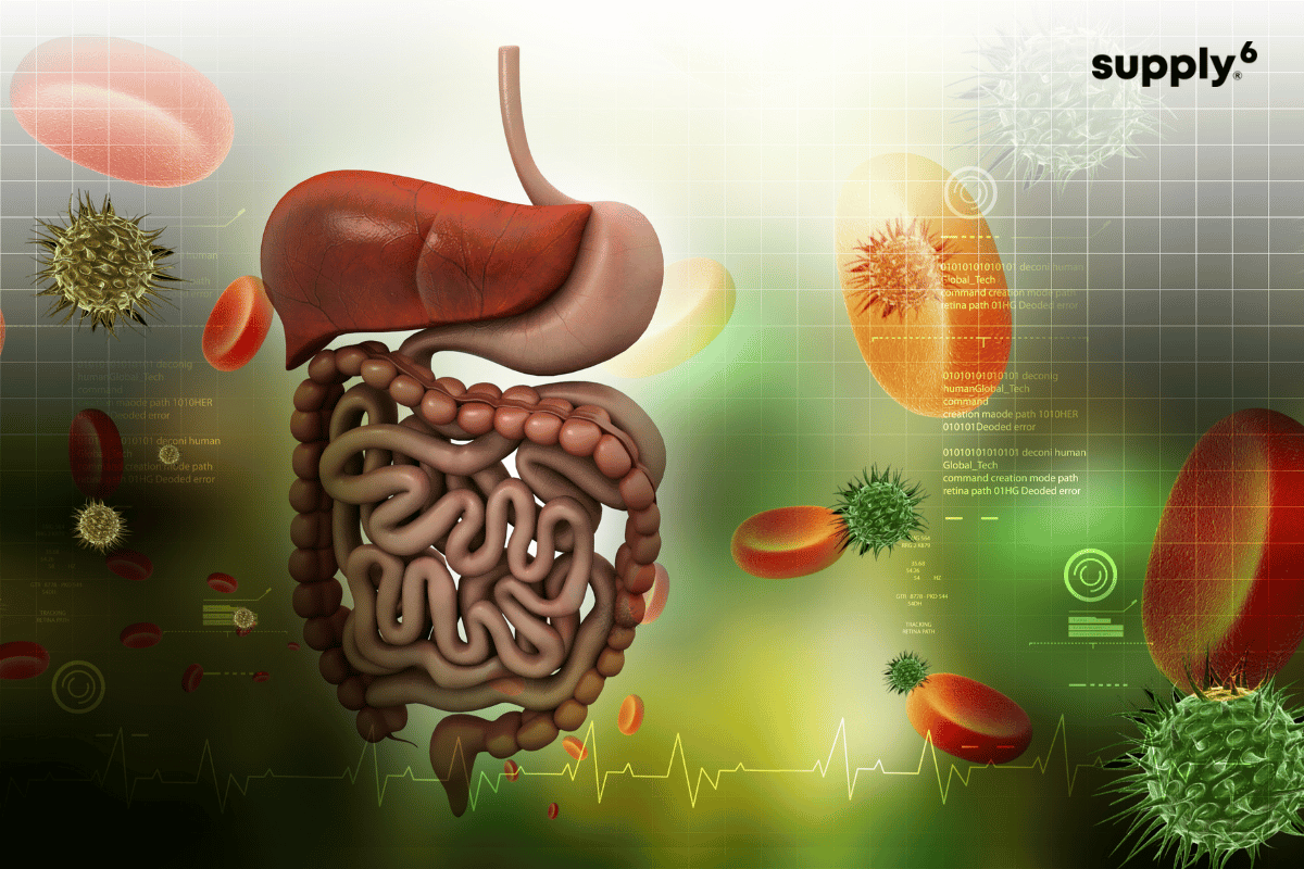 Understanding the Enzyme that Digests Fat in Humans