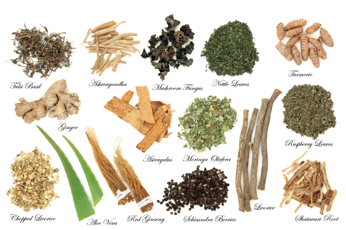 The Healthiest Herbs and Spices to Add to Your Diet