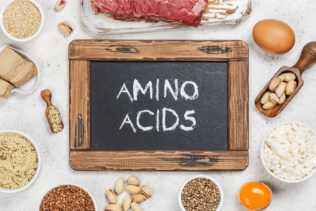 Wonders of Essential Amino Acids: Functions & Benefits