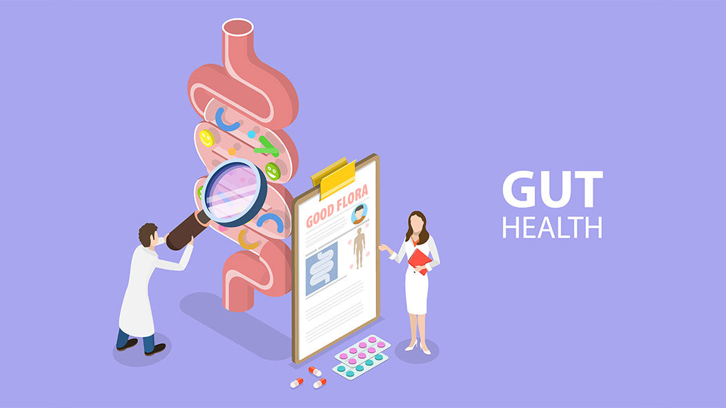 Gut Health