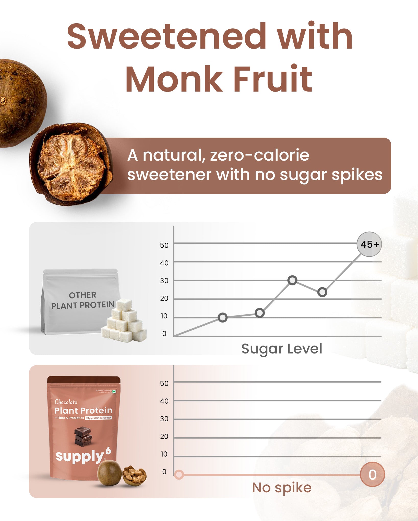 Supply6 Plant Protein - Chocolate