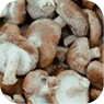 Adaptogens