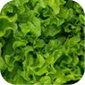 Greens