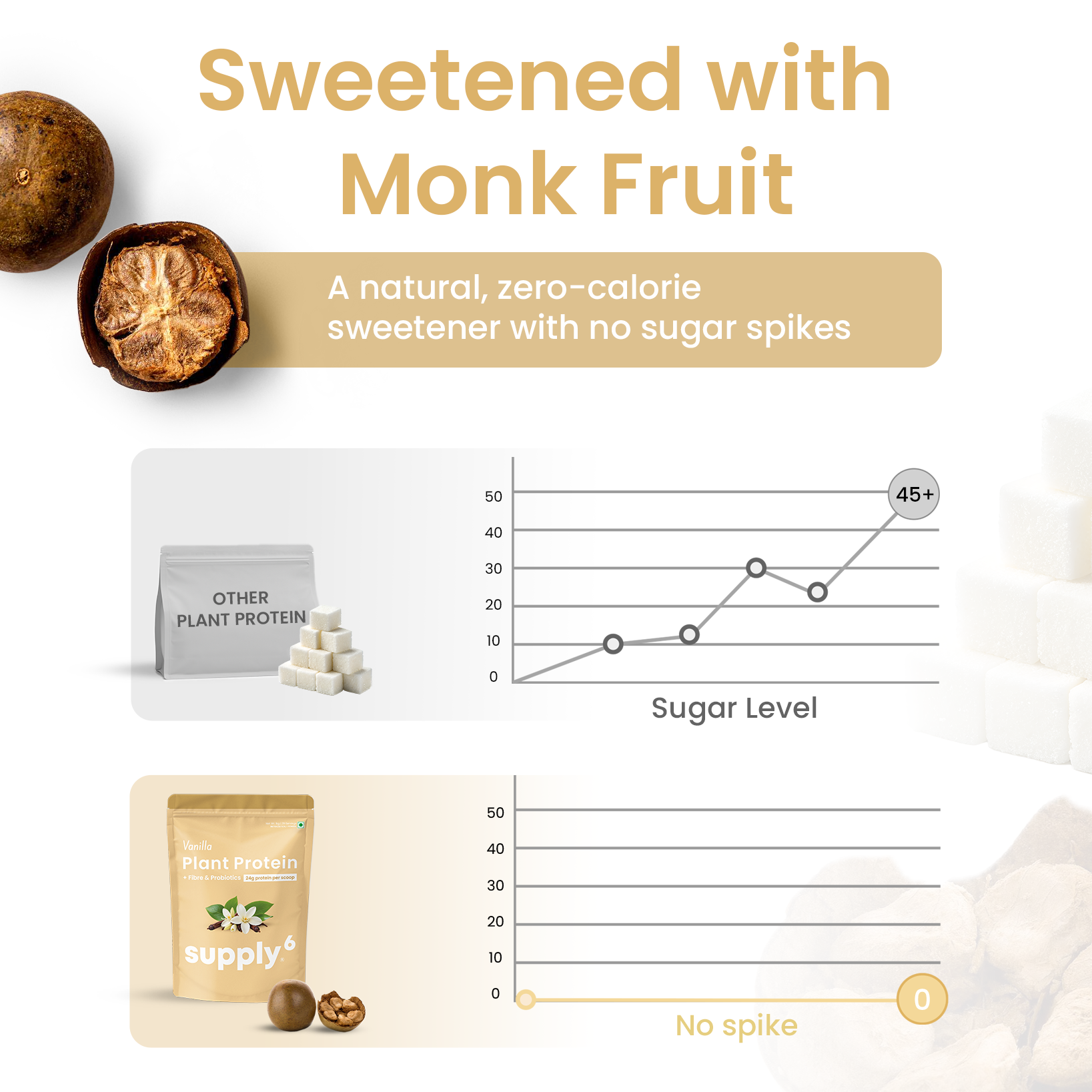 Supply6 Plant Protein - Vanilla