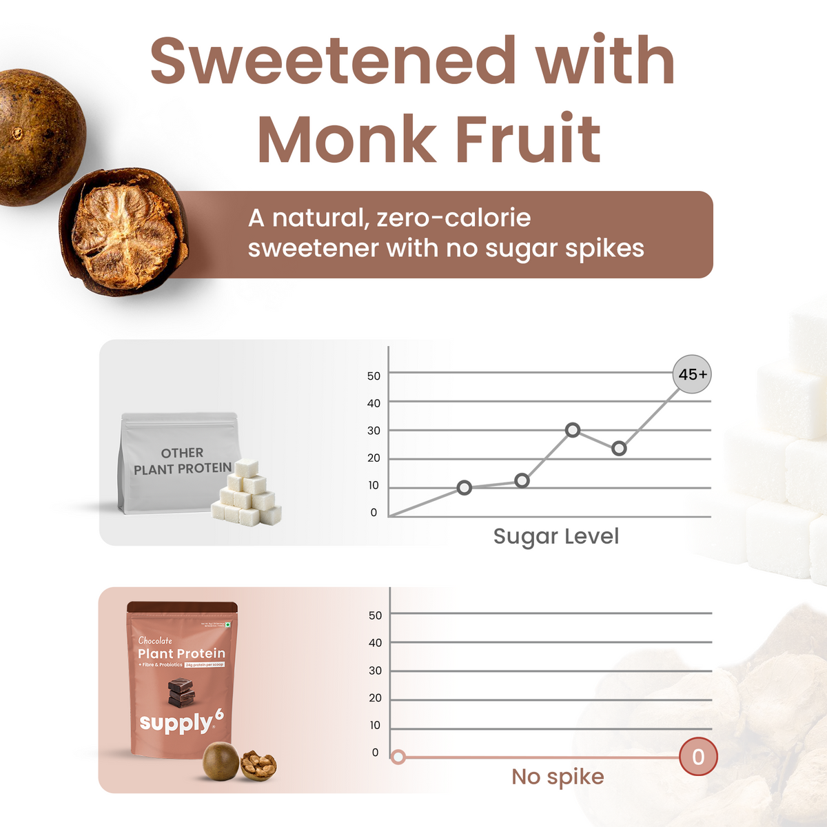 Supply6 Plant Protein - Chocolate
