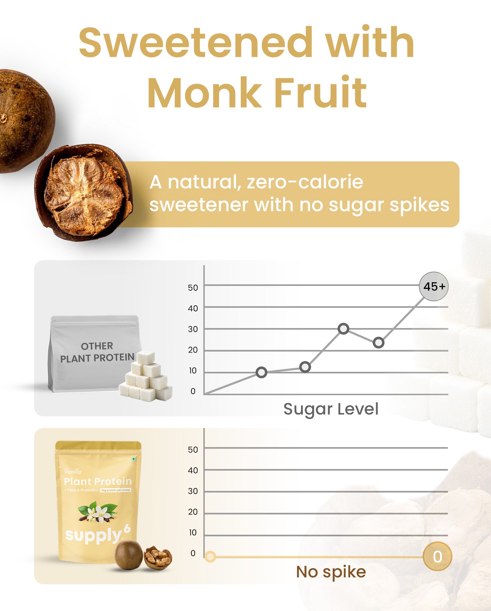 Supply6 Plant Protein - Vanilla